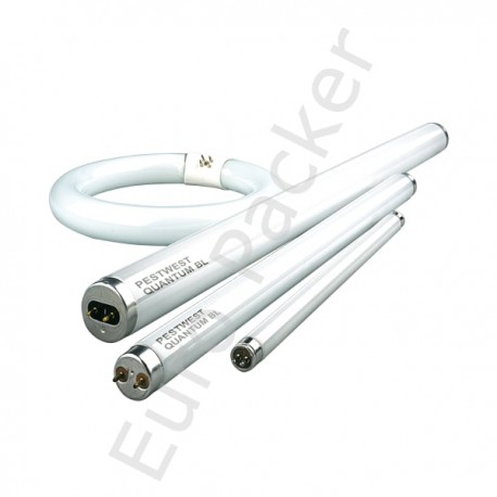 Tube Compact 24 Watt