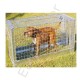 Hunde - Füchse falle zusammenlegbar